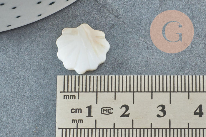 Perles coquillage nacre blanche naturelle 15.5mm, x2 (G3424)