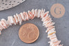 Perles coquillage naturel, chips coquillages, rose clair, 10mm, fil de 42 cm, x1 (G3849)