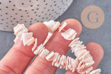 Perles chips coquillage naturel, chips rose clair 10mm, x1 fil de 42 cm (G3849)