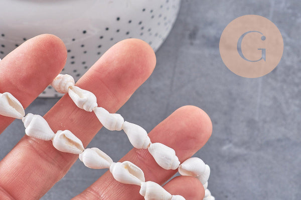 Perles coquillage naturel percés blanc, x1 fil de 135cm (G7987)