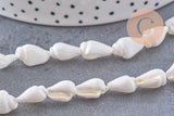 Perles coquillage naturel percés blanc, x1 fil de 135cm (G7987)