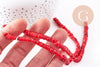 Perles coquillage rouge naturel heishi 5-6mm, x1 fil de 40cm (G1813)