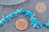 Perles en corail turquoise,perles corail, corail naturel,perle coquillage,coquillage bleu,fil 38cm x1 (G0986)