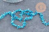 Perles en corail turquoise,perles corail, corail naturel,perle coquillage,coquillage bleu,fil 38cm x1 (G0986)