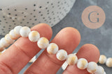 Perles jade blanc et or, perles rondes, jade mashan bleu,pierre naturelle, 8mm, fil de 40cm, x1 (G1800)