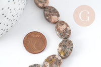Perles ovales en jaspe sésame naturel 18x13mm, x5 (G3532)