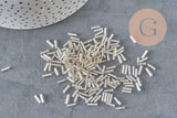 Cuentas de semilla de tubo plateadas de 6 mm x 2 mm, 5 g (G6440)