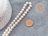 Perles rondes coquillage naturel blanche nacrées 8mm, x1 fil de 40cm (G9034)