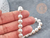 Perles rondes coquillage naturel blanche nacrées 8mm, x1 fil de 40cm (G9034)