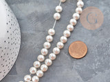 Perles rondes coquillage naturel blanche nacrées 8mm, x1 fil de 40cm (G9058)