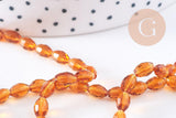 Perles verre grain de riz 6x4mm, x1 fil de 38cm (G10750)