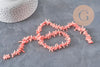 Cuentas de coral rosa EP, cuentas de coral, fabricación de joyas, coral natural, cuentas de concha, concha rosa, hilo de 38 cm, G3089