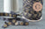 Ruban élastique noir or coquillage EFJF 16mm, x 1 Mètre (G2142)