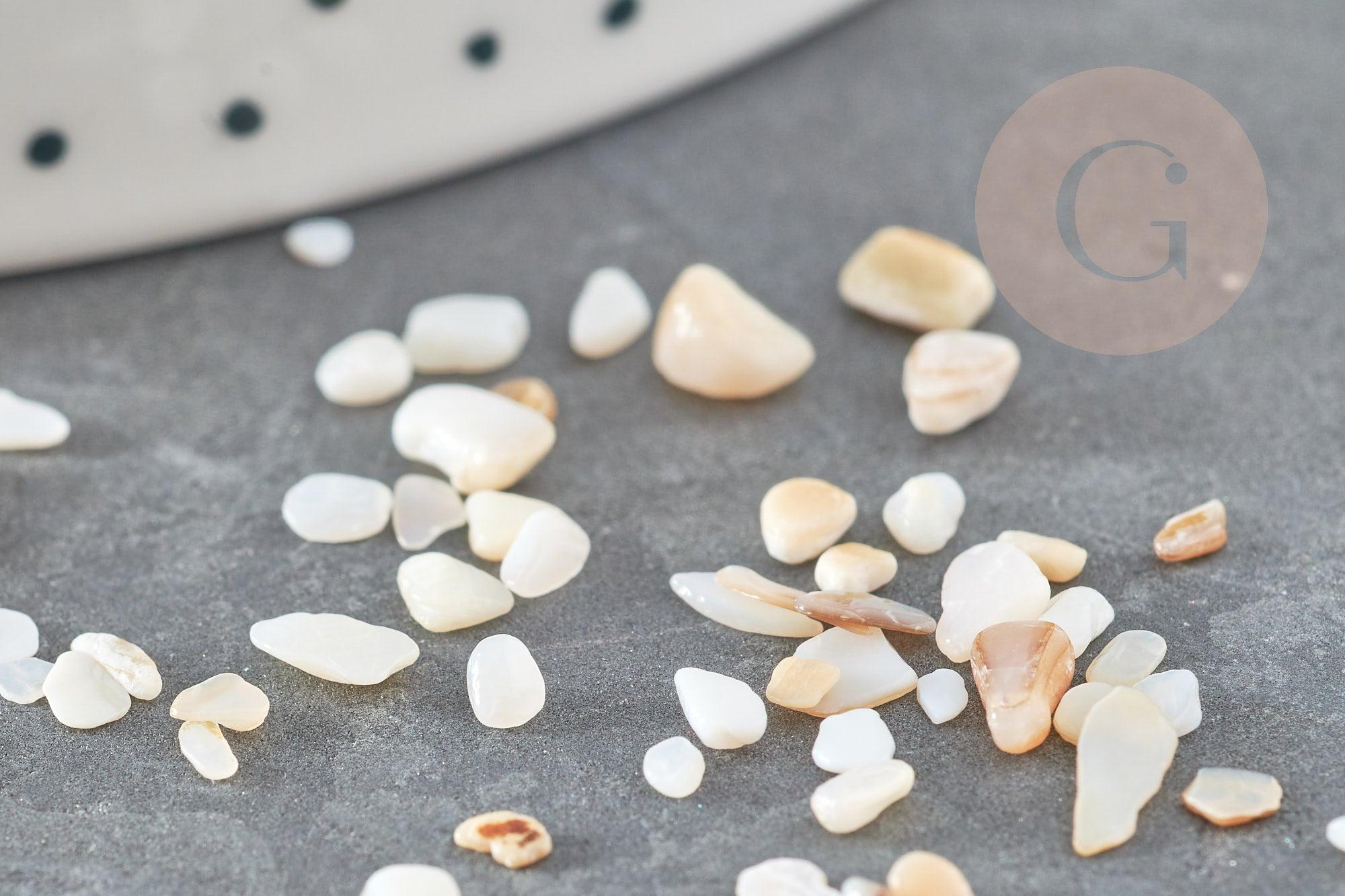 Sable chips coquillage nacre naturelle beige blanc 2-5mm non percé, x20gr (G9309)