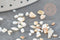 Sable chips coquillage nacre naturelle beige blanc 2-5mm non percé, x20gr (G9309)