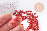 Sable chips corail naturel rouge 3-9mm non percé, x20gr (G0257)