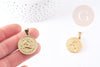 Pendentif médaille ronde capricorne acier doré 29mm, x1 G0818