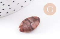 perles ovales jaspe sésame zébré naturel marron, x5 (G4896)