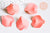 Pendentif pétale feuille fer rose corail 26,5mm,Perle pétale fleur création bijoux, l'unité G7083-Gingerlily Perles