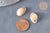 Pendentif coquillage beige marbré, fourniture créative,perle acrylique,cauri,création bijoux,coquillage bijou,coquillage,19mm,les 10-G5404-Gingerlily Perles