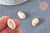 Pendentif coquillage beige marbré, fourniture créative,perle acrylique,cauri,création bijoux,coquillage bijou,coquillage,19mm,les 10-G5404-Gingerlily Perles