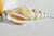 Pendentif coquillage naturel argenté, pendentif argent création bijoux, coquillage Conch bijou,coquillage naturel,58mm, l'unité,G1498