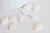 Pendentif losange nacre blanche naturelle,perle losange,nacre naturelle,coquillage blanc,création bijoux,14mm,lot de 10-G1084