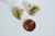 Pendentif coquillage naturel coque doré, fourniture créative, pendentif doré, création bijoux, coquillage bijou,coquillage or,21-25mm G3725