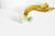 Boucles puces aventurine verte doré poire,bijoux doré, Bijou pierre, boucle aventurine, boucle pierre,boucle dorée, la paire,14mm-G1000-Gingerlily Perles