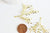 Pendentif branche feuille laiton,breloque laiton brut, bijou laiton,feuille laurier bijoux,pendentif laiton brut,les 2, 48mm G6584