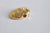 Pendentif coquillage doré 14K, coquillage doré,dorure 14carats,pendentif doré,coquillage or,création bijoux, Lot de 2,13mm-G664