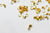 Cache-noeud dorés crabe, fourniture créative,cache noeud, chaine boule, fabrication bijoux, apprêts dorés, création bijoux, lot de 5 gr-G735