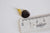 Pendentif coeur nacre noire naturelle doré,fourniture créative,pendentif coeur,coeur nacre,coquillage noir,création bijou, 15mm G418