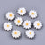 Perle fleur marguerite nacre naturelle, perle fleur,nacre naturelle,coquillage blanc,création bijoux,13mm,l'unité G4004
