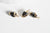 Pendentif coquillage noir spirale doré,pendentif doré coquillage,création bijoux,coquillage bijou,coquillage or,16-20mm, les 2,G2675